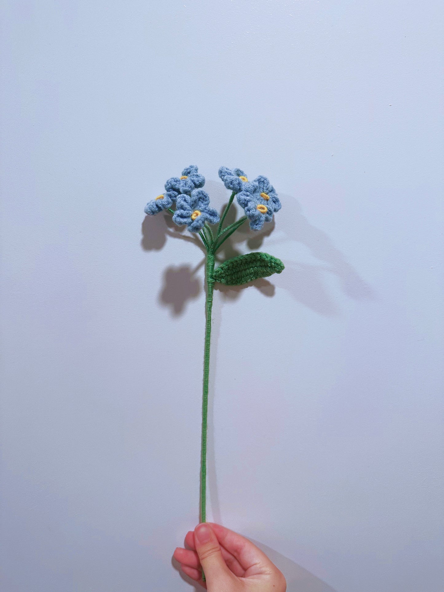 Forget-Me-Not