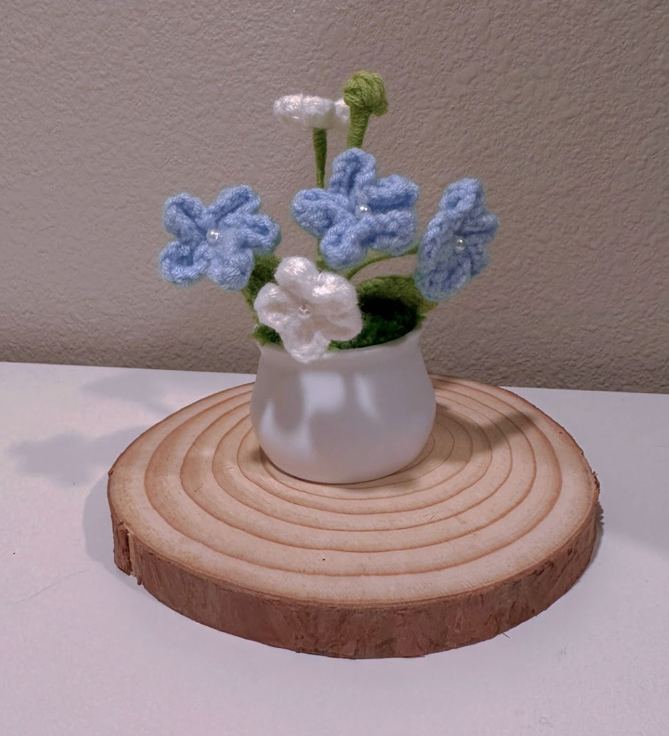 Forget-Me-Not Potted Plant