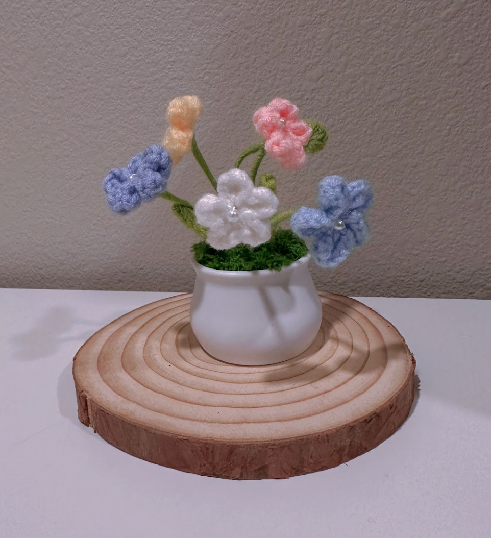 Forget-Me-Not Potted Plant