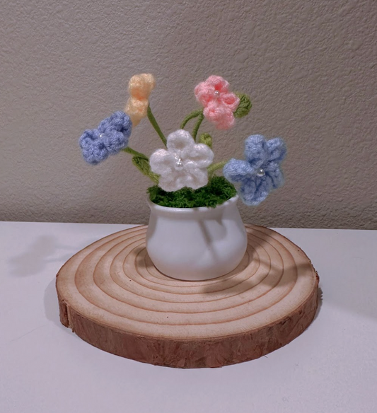 Forget-Me-Not Potted Plant